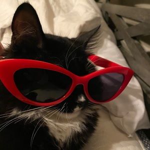 Meet your Posher, Emma